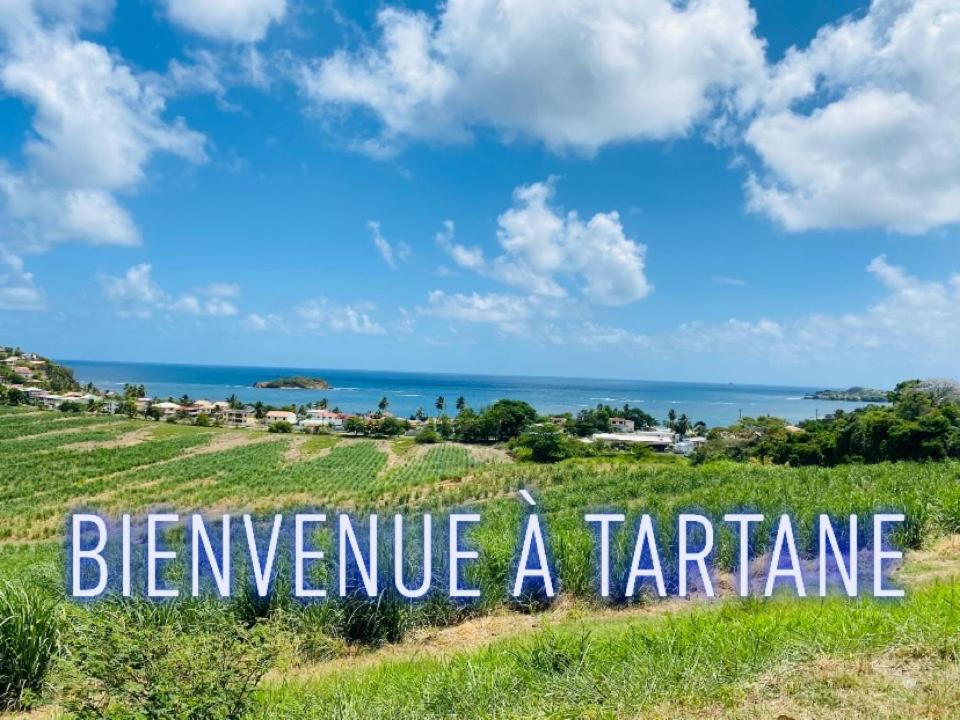 Residence De La Baie - Bleu Soleil Tartane La Trinité Exterior foto